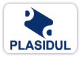 Plasidul